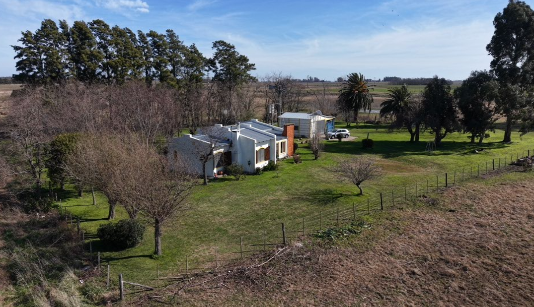 13 Hectáreas - Saladillo, Bs. As.